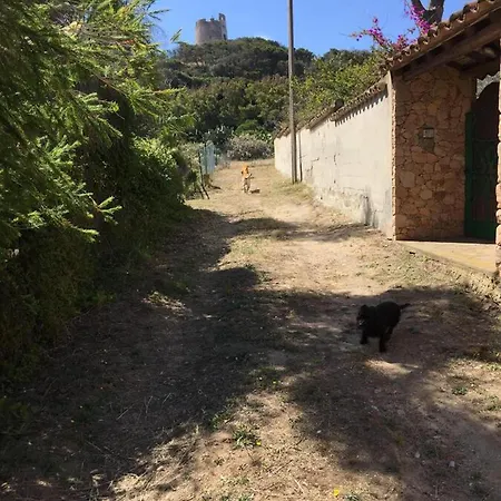 La Casa Sotto La Torre Daire *